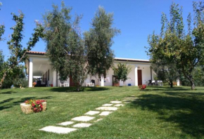BREZZA D'ESTATE
